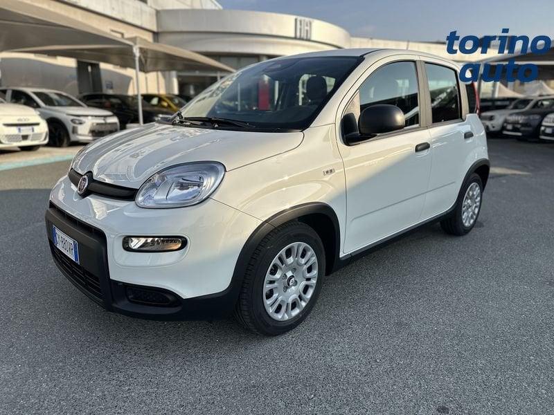 FIAT Panda Panda 1.0 FireFly S&S Hybrid