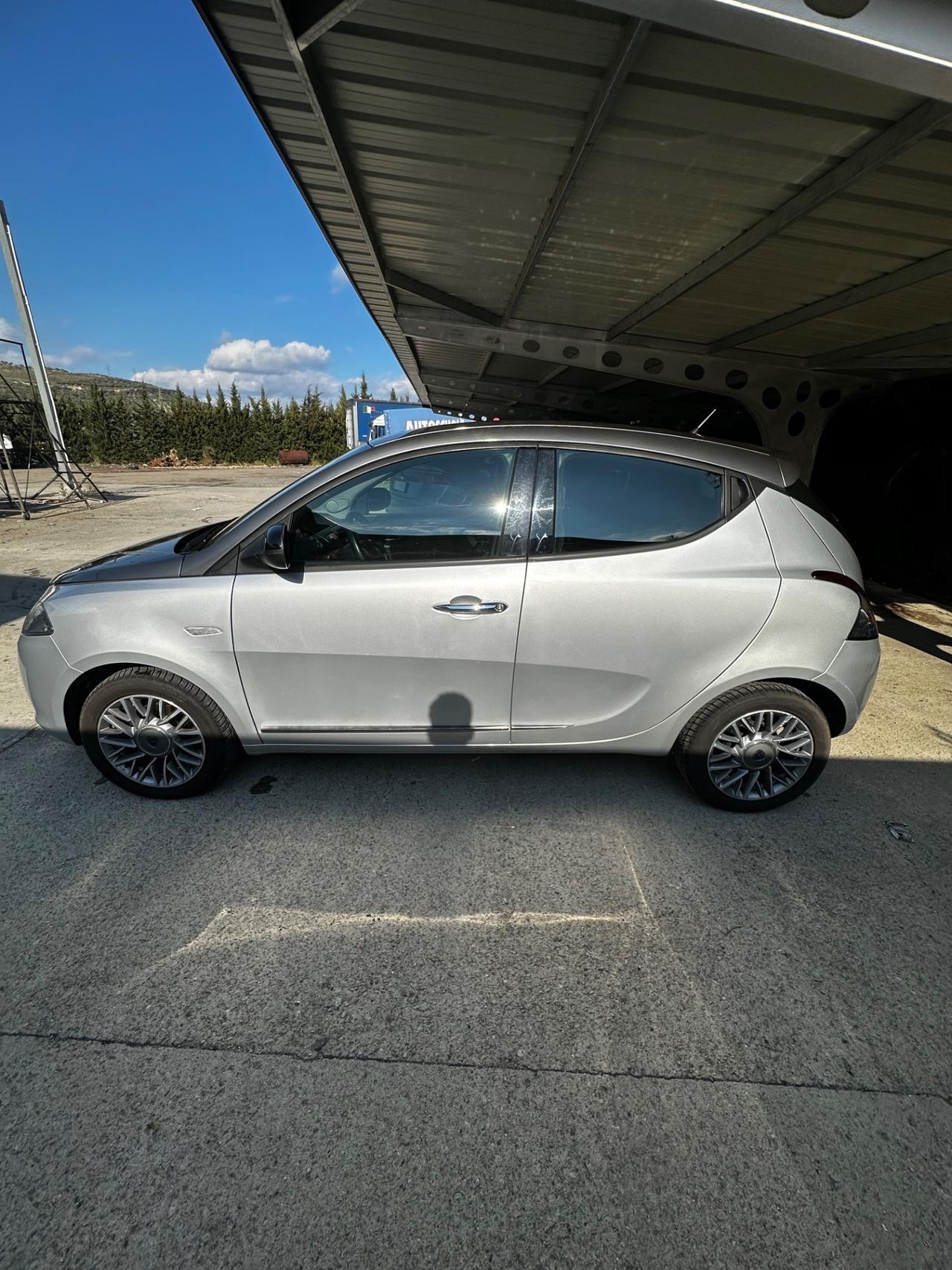 Lancia Ypsilon 1.3 MJT 16V 95 CV 5 porte S&S Platinum