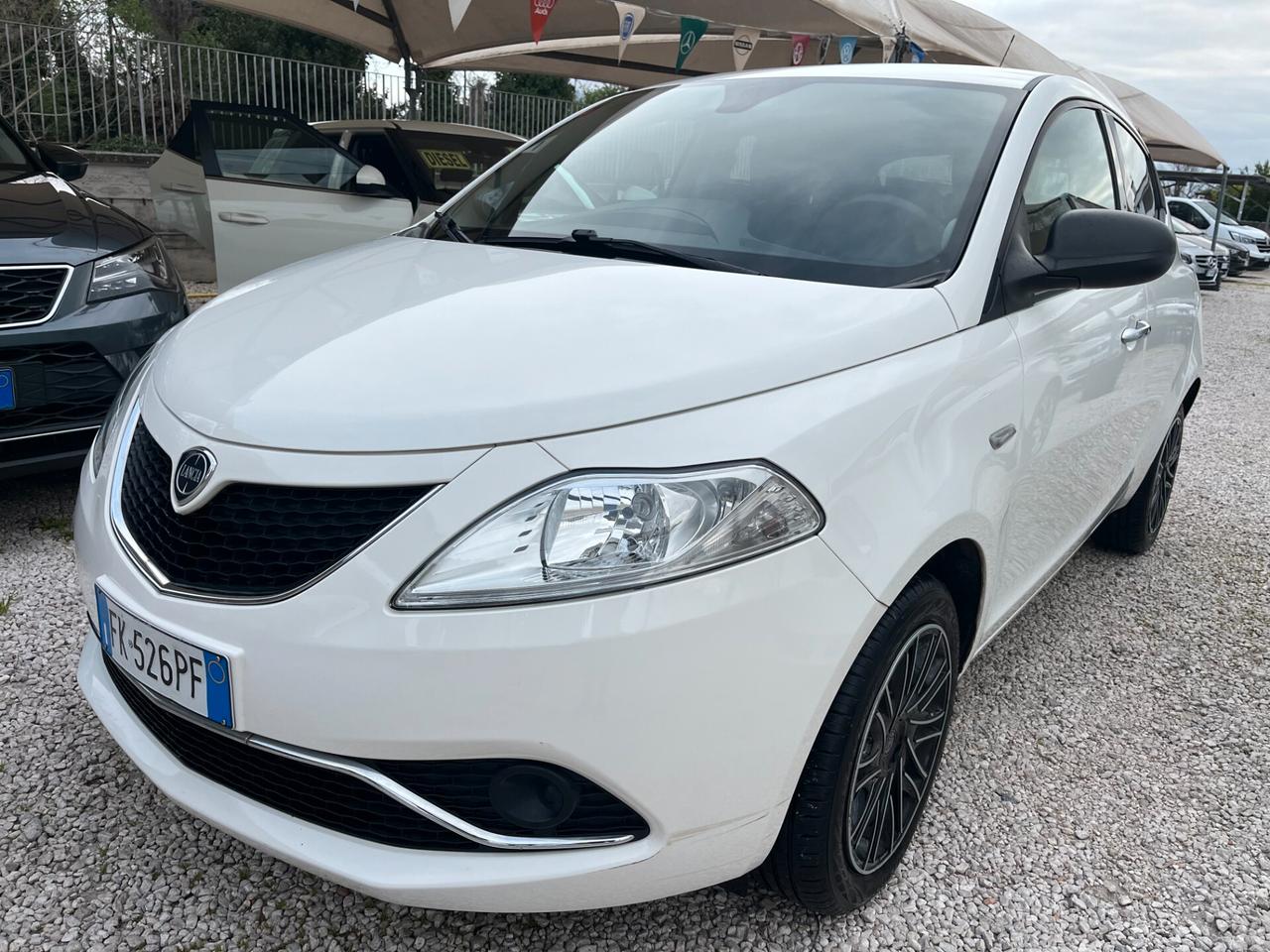 Lancia Ypsilon 1.2 69 CV 5 porte KM CERTIFICATI 1 PROPRIETARIO
