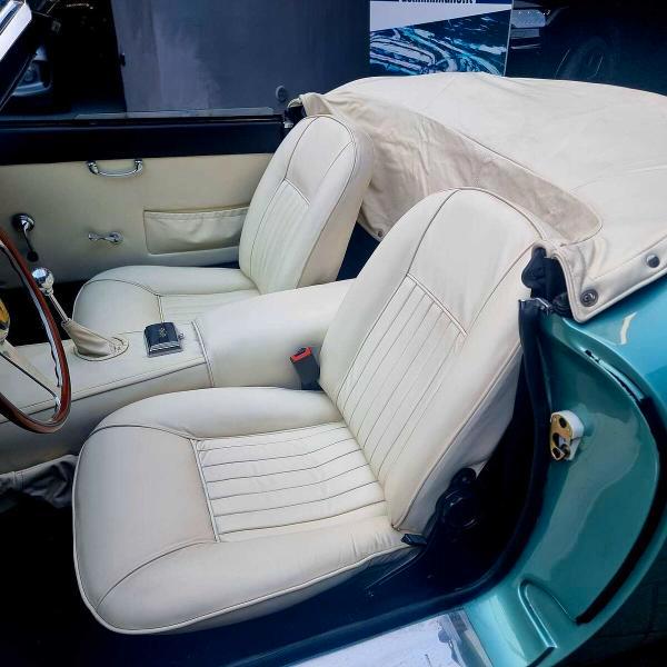 Altro Altro Zagato Magnum California GT 250 V8 -5000 SPIDER