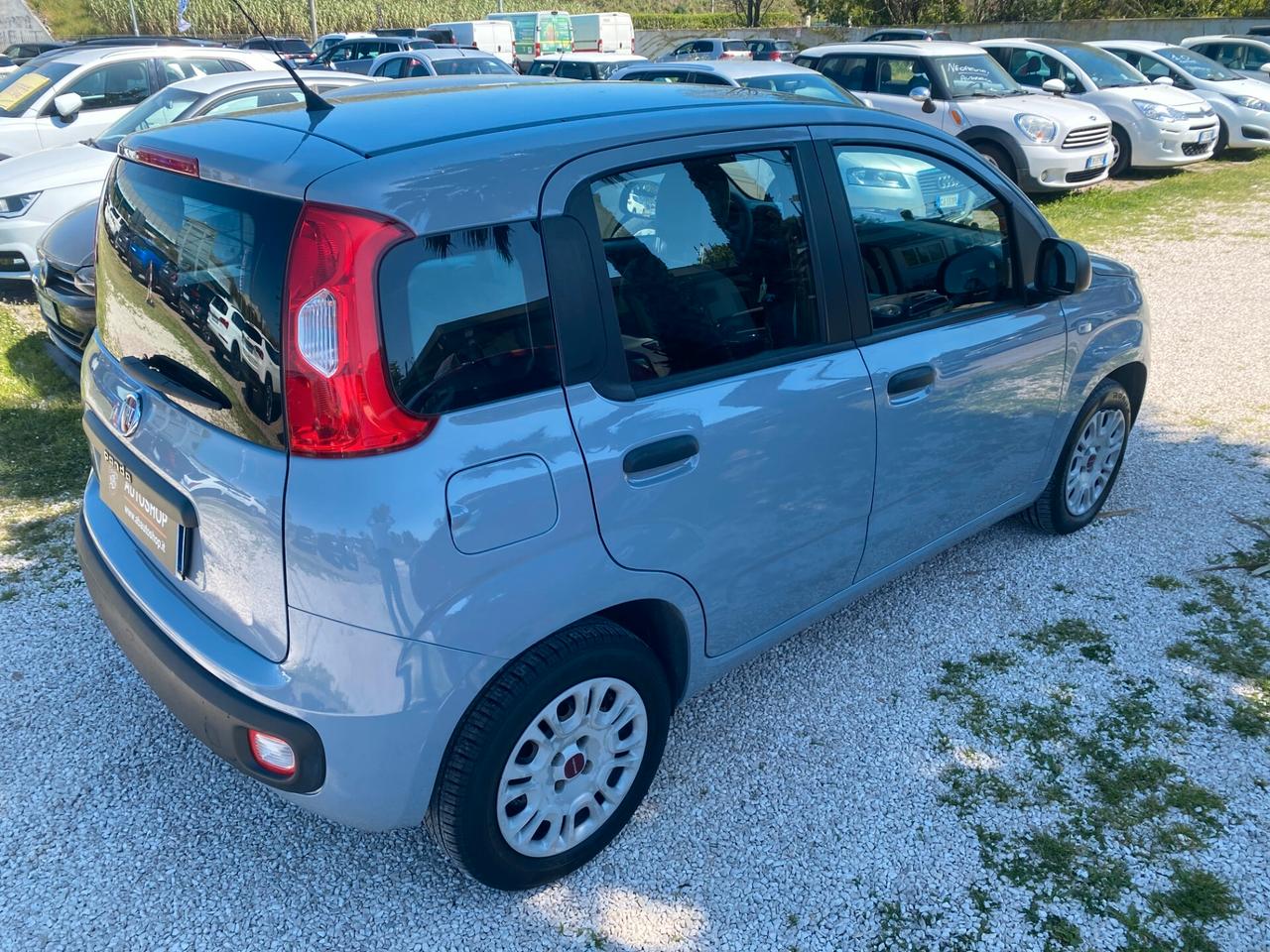 FIAT - Panda - 1.2 Easy - NEOPATENTATI - FINANZIABILE - PERMUTE