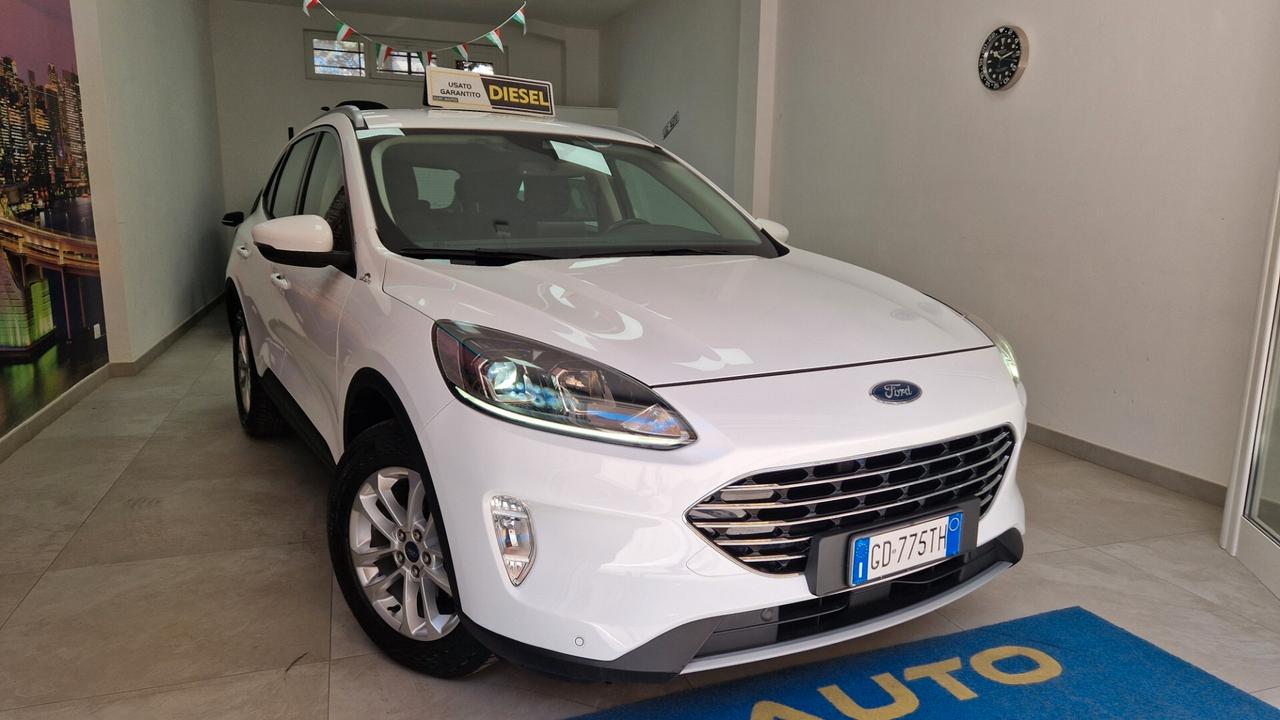 Ford Kuga 1.5 EcoBlue 120 CV aut. 2WD Titanium Business