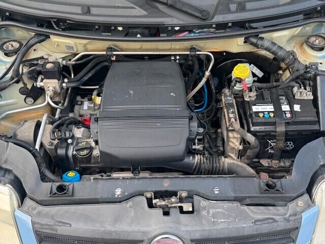 Fiat Panda 1.2 Dynamic OK NEOPATENTATI !!