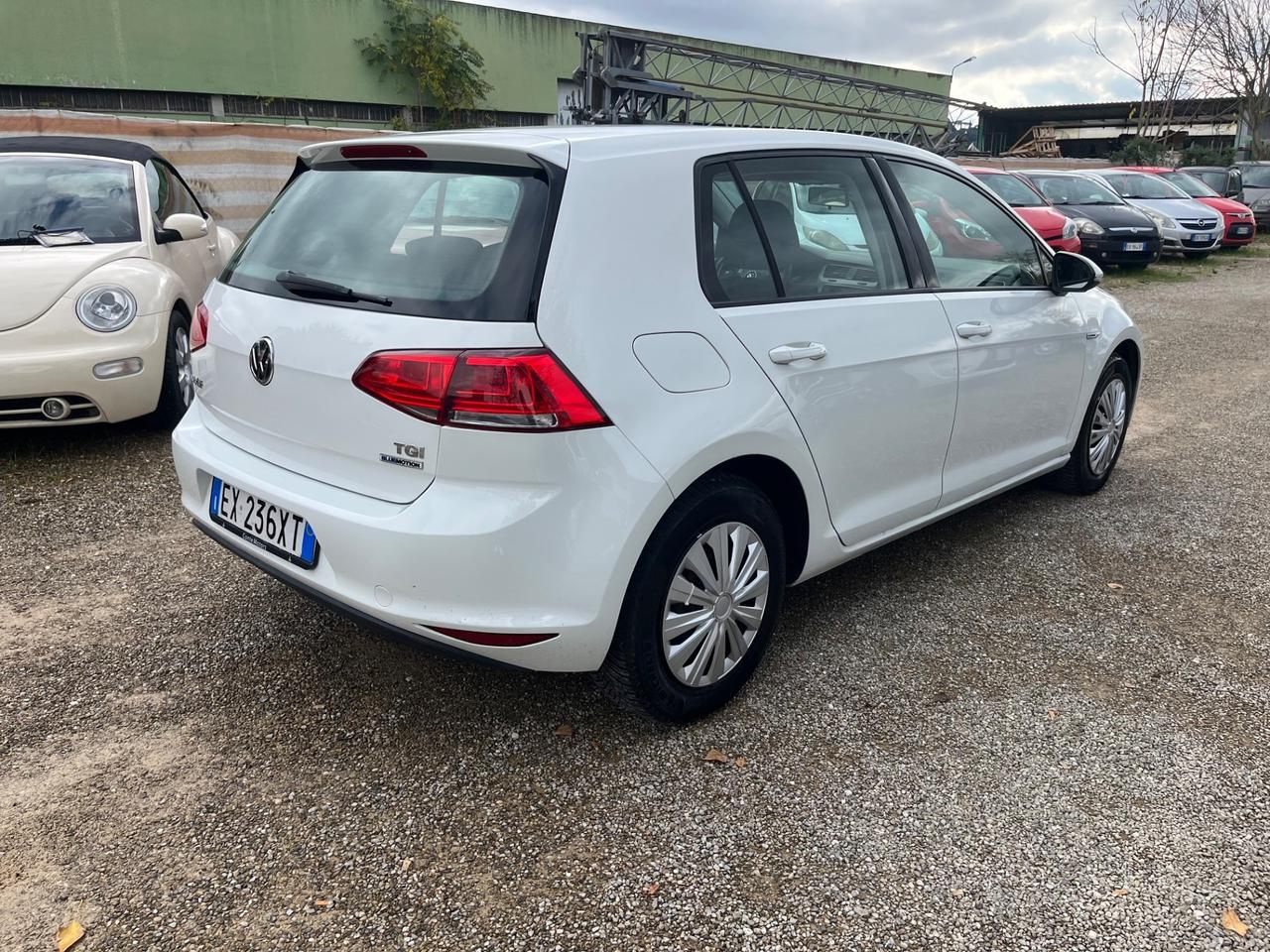 Volkswagen Golf Business 1.4 TGI 5p. Comfortline BlueMotion