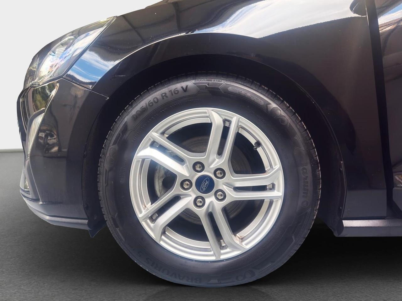 Ford Focus 1.5 EcoBlue 120 CV automatico 5p. Business Co-Pilot