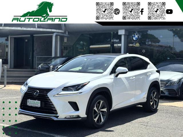 LEXUS NX 300 Hybrid 4WD Executive 155 CV
