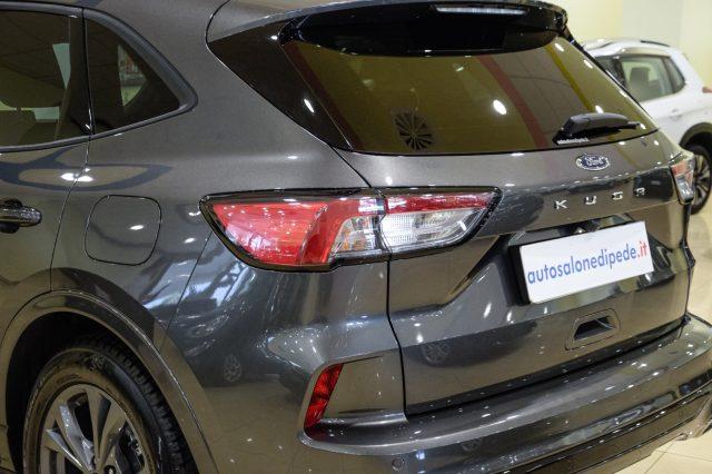 FORD Kuga 1.5 EcoBlue 120 CV 2WD ST-Line
