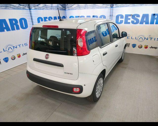 FIAT Panda 1.0 firefly hybrid Icon s&s 70cv 5p.ti