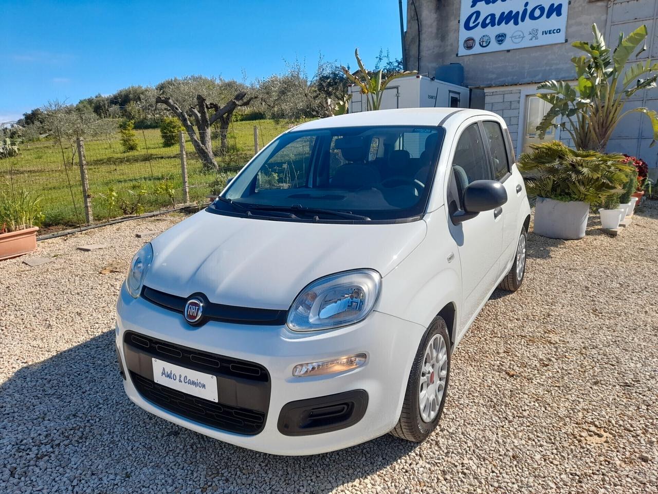 Fiat Panda 1.0FIREFLY S&S ANNO 2021 BENZINA