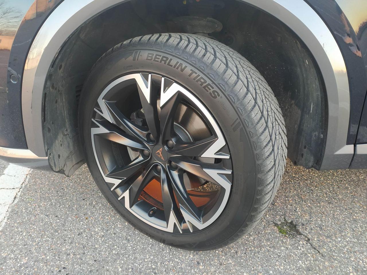 Cupra Formentor Tribe Edition 2.0 TDI #8281