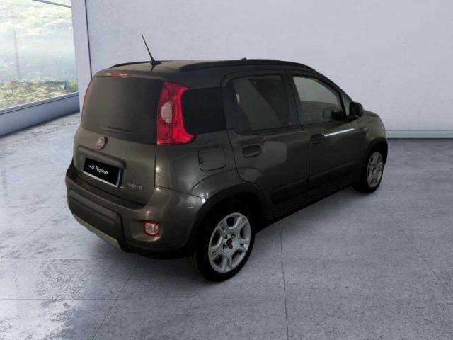 FIAT Panda 3ª serie - 1.0 FireFly S&S Hybrid Red