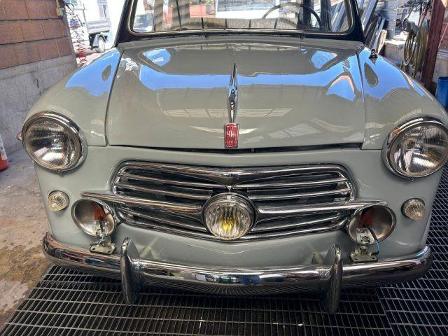 FIAT 1100 103 tv