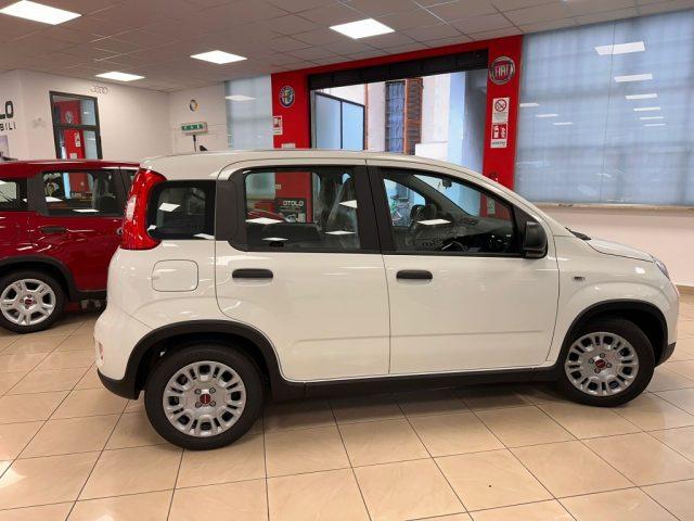 FIAT New Panda 1.0 FireFly S&S Hybrid PROMO CAR SERENITY