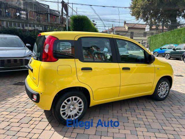 FIAT Pandina PROMO FINANZIAM 1.0 FireFly 65 CV Hybrid Pop KM 0
