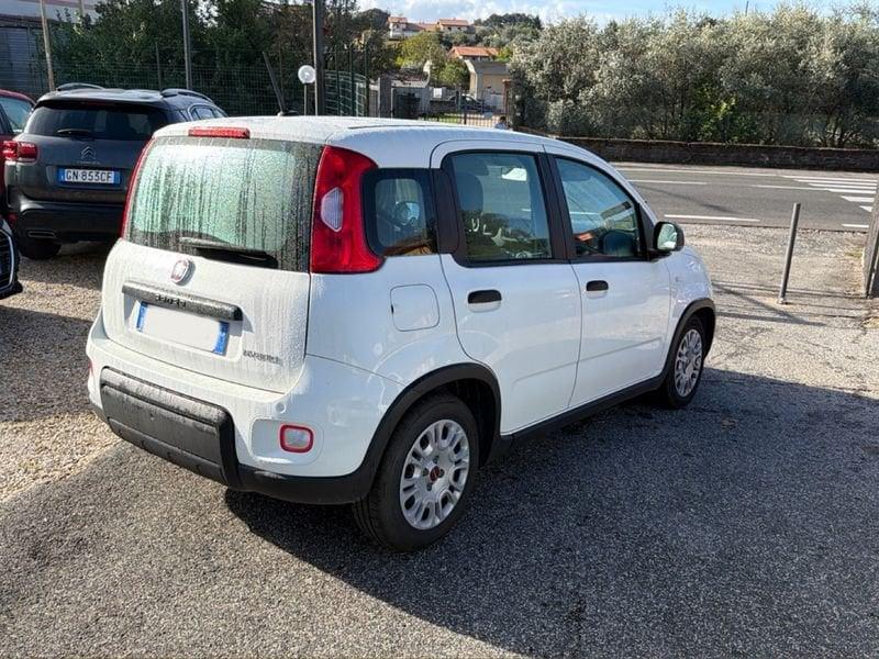 FIAT Panda Panda 1.0 firefly hybrid s&s 70cv 5p.ti