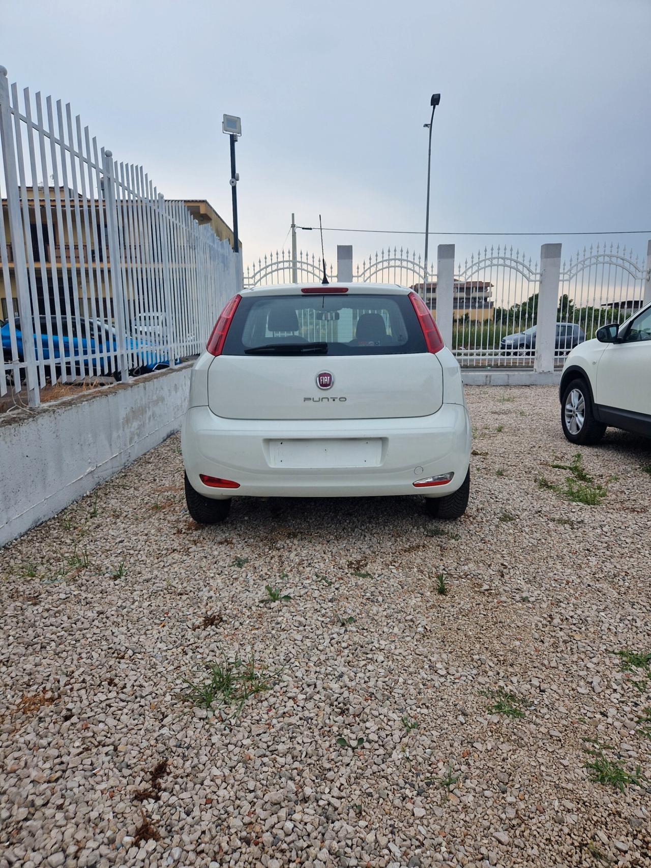 Fiat Punto 1.4 8V 5 porte Easypower Street