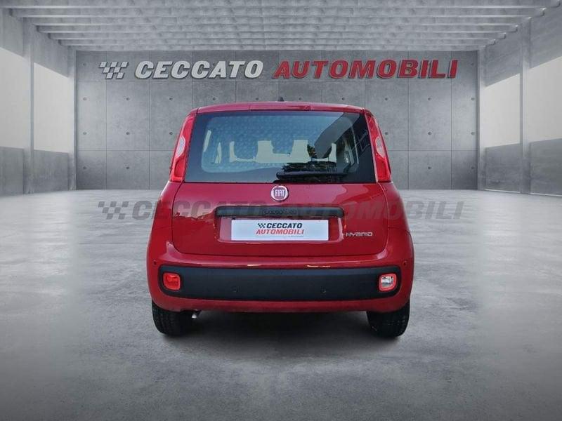 FIAT Panda Panda 1.0 70cv Hybrid Icon
