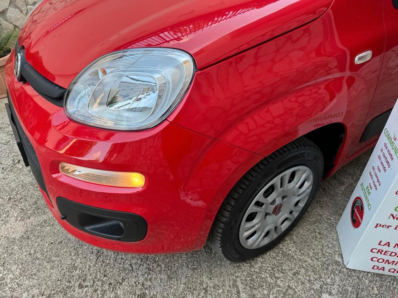 Fiat Panda 1.2 Easy