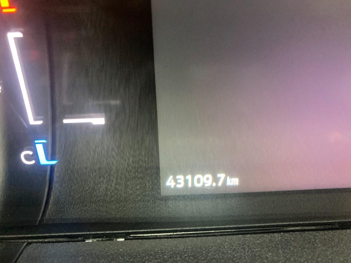 FORD Ranger Raptor 2.0 ecoblue 205cv auto (+ IVA)