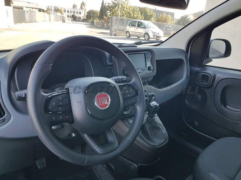 FIAT Panda Panda 1.0 70cv Hybrid Icon