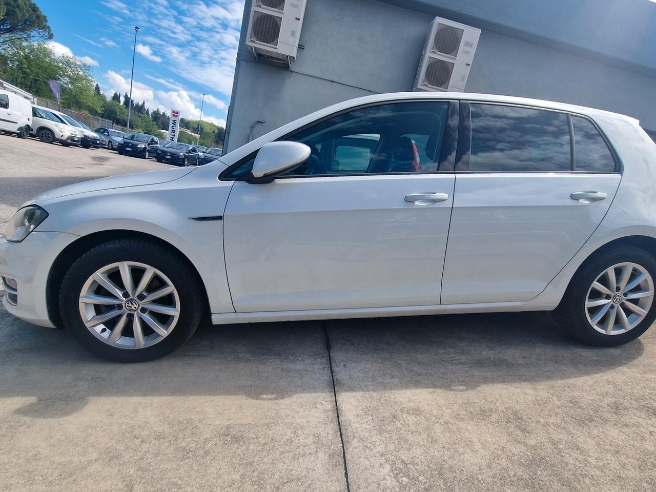 Volkswagen Golf Business 1.6 TDI 5p. Highline BlueMotion Technology