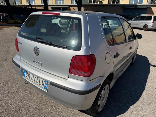 VOLKSWAGEN Polo 1.4 cat 5p Comfortline Air Stupenda Bellissima
