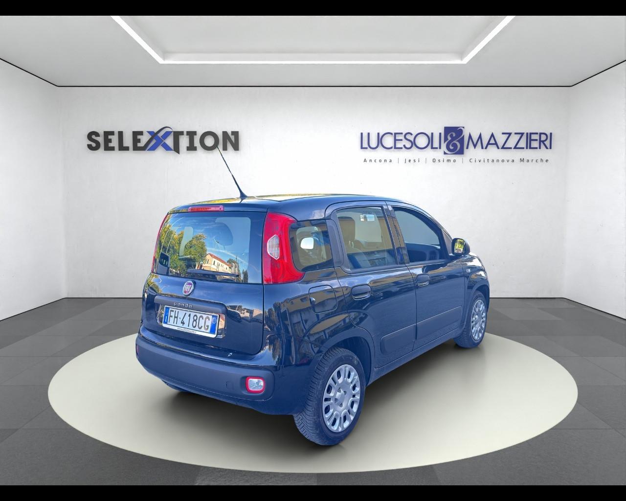 FIAT PANDA - Panda 1.2 Easy