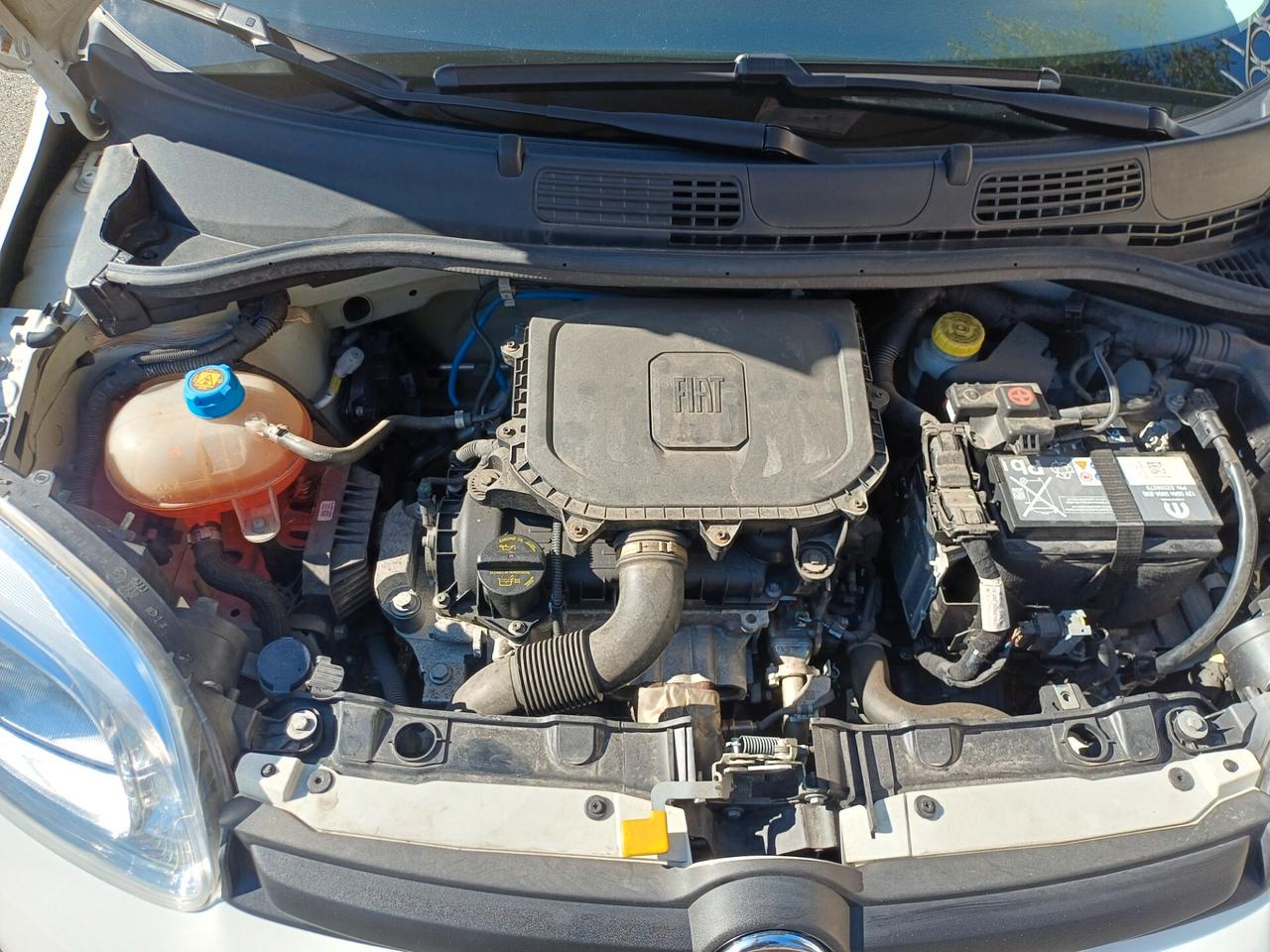 Fiat Panda KM 11000 PARI AL NUOVO