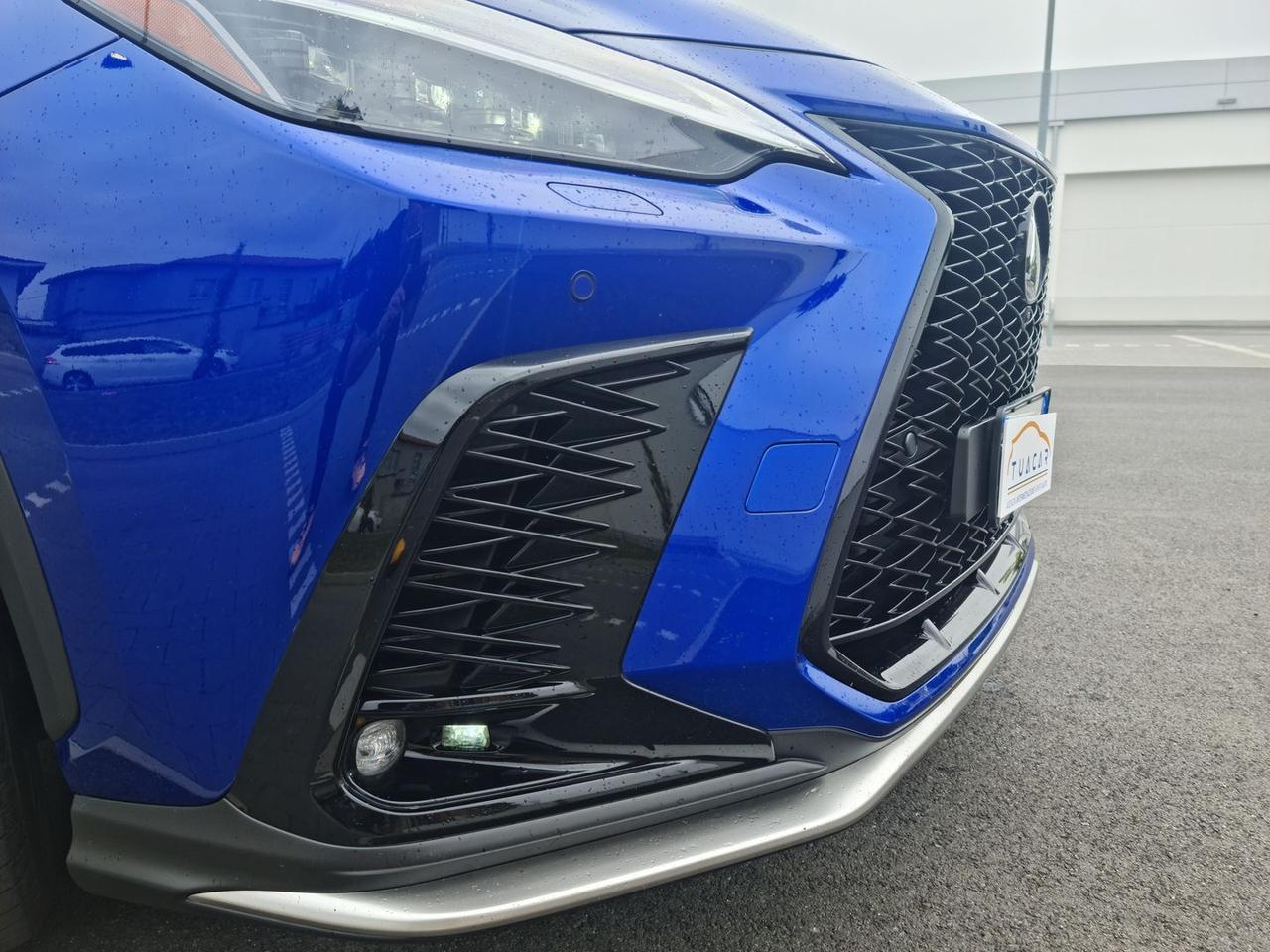 Lexus NX 350 h #6372