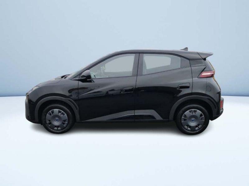BYD Dolphin Surf Active