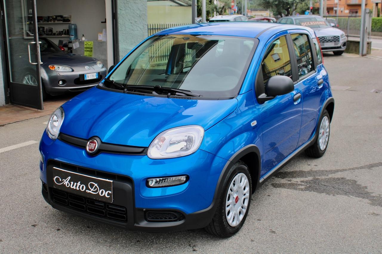 FIAT PANDA 1.0 FIREFLY S&S HYBRID CITY LIFE BLUETOOTH CLIMA