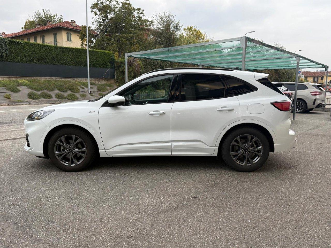Ford Kuga 1.5 ecoblue ST-Line 2wd 120cv auto