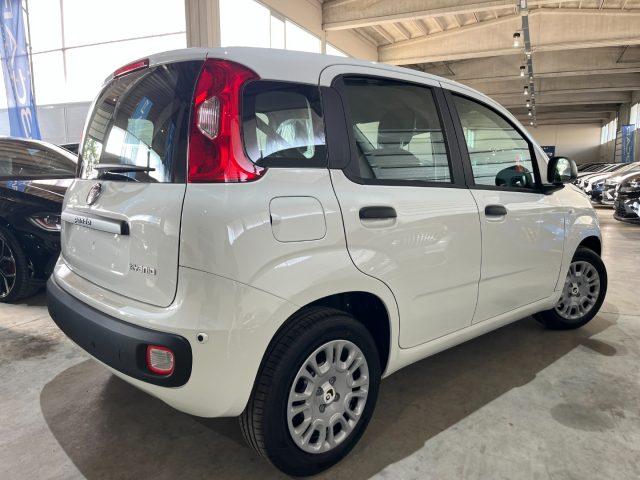 FIAT Panda 1.0 FireFly Hybrid Icon Pandina /PACK CITY+PARK