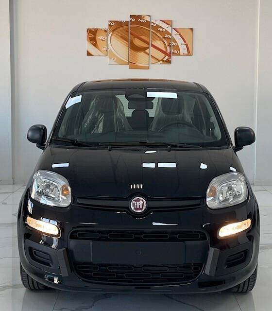 Fiat Panda Pandina 1.0 FireFly 65 CV Hybrid Icon / 5 posti