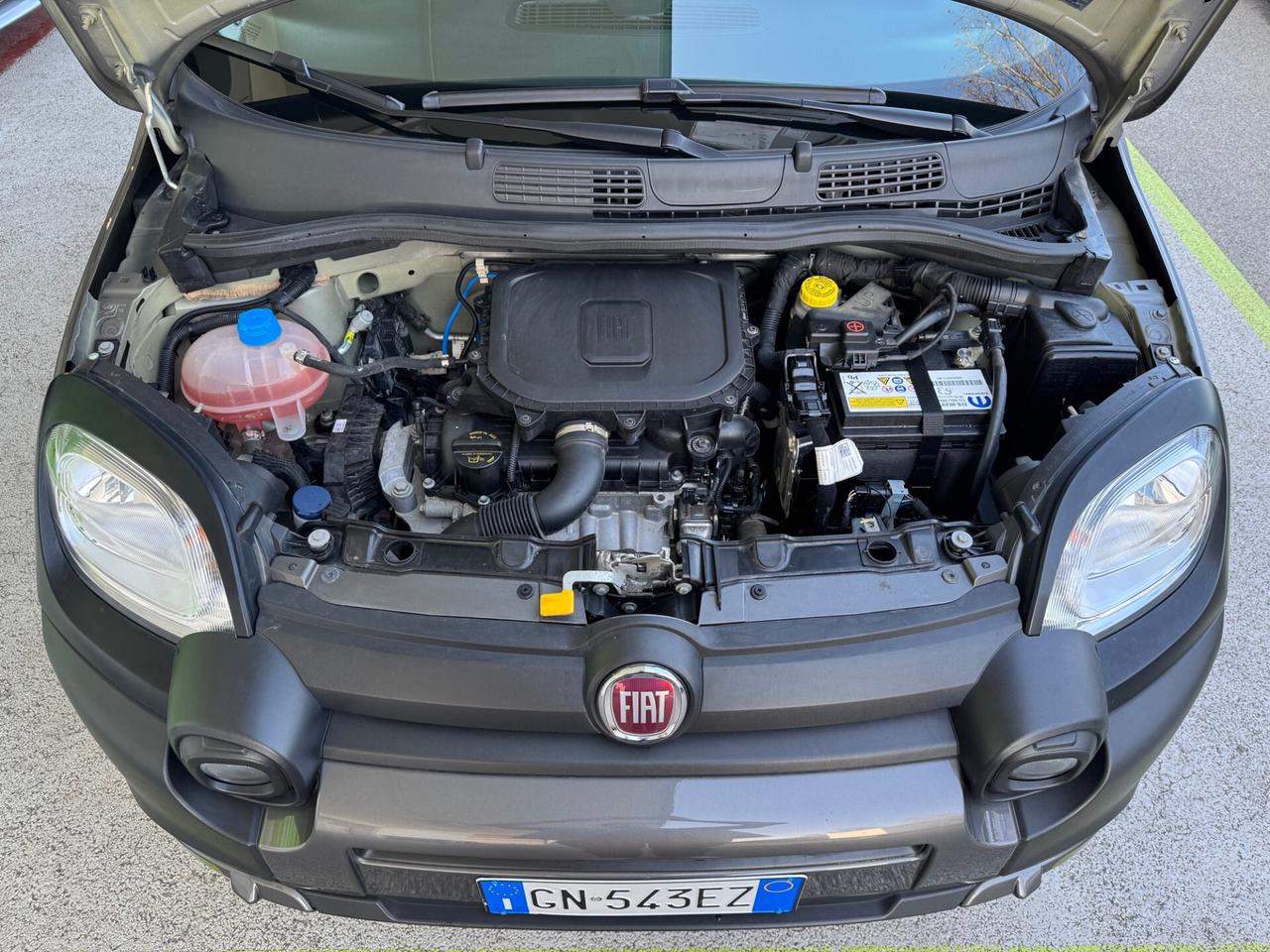 Fiat Panda Cross 1.0 FireFly HYB GARANZIA 36 MESI