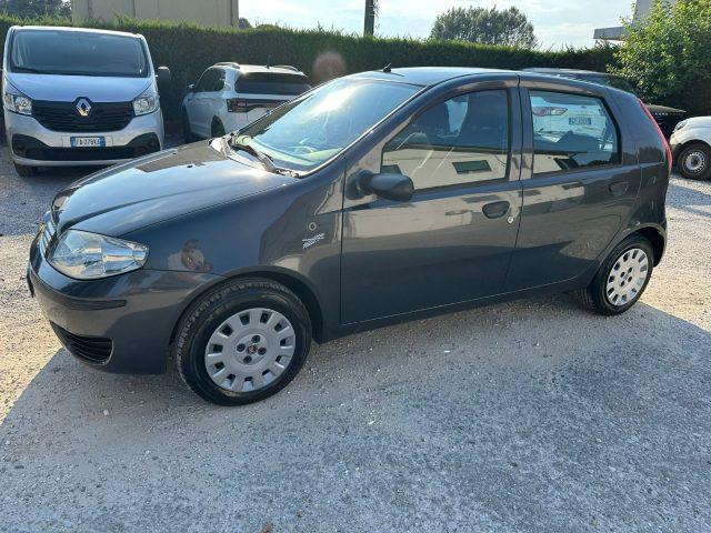 FIAT Punto OK NEO PAT. GPL Classic 1.2 5 porte Active