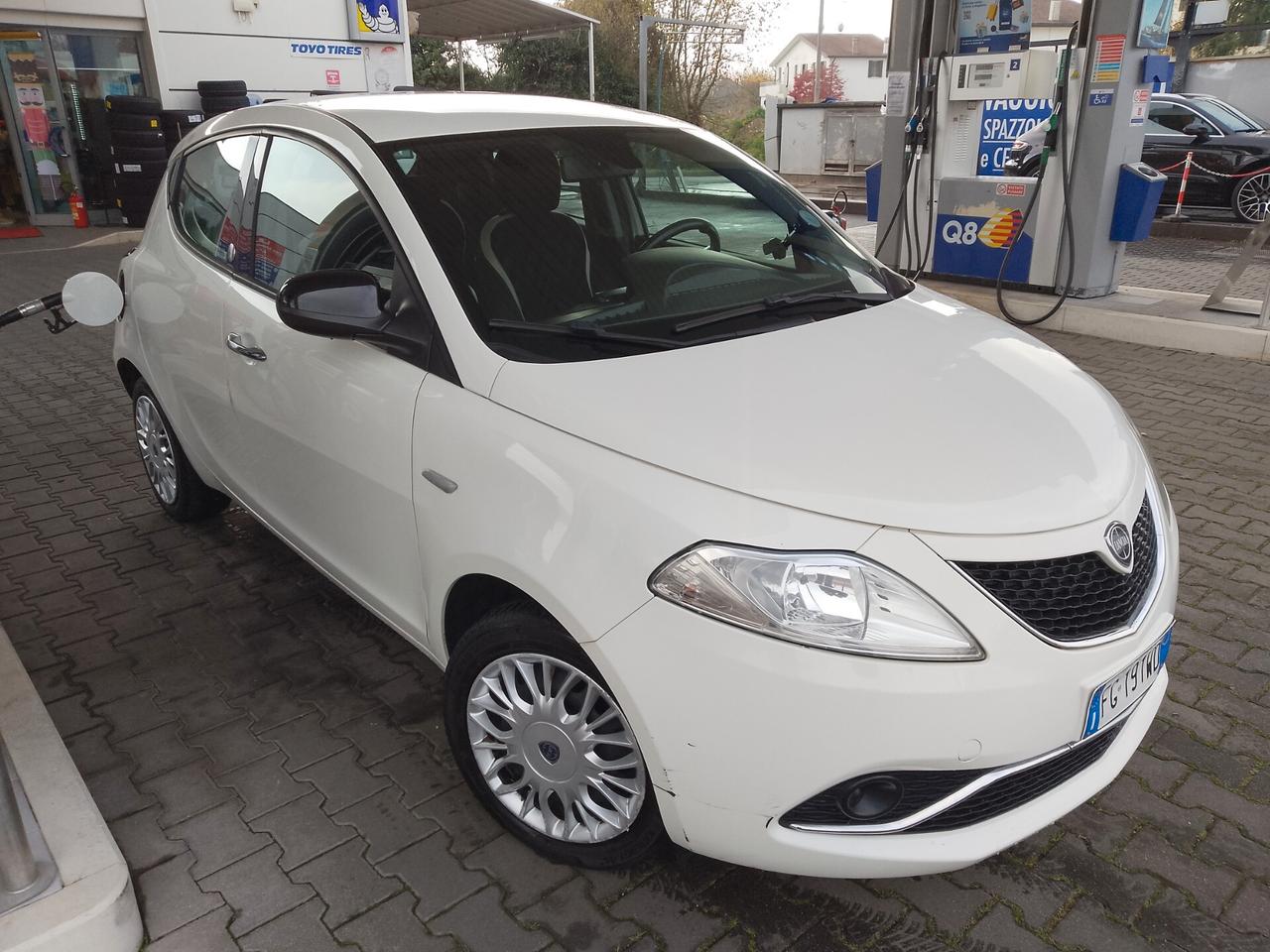 Lancia Ypsilon 1.2 69 CV 5 porte GPL Ecochic Platinum