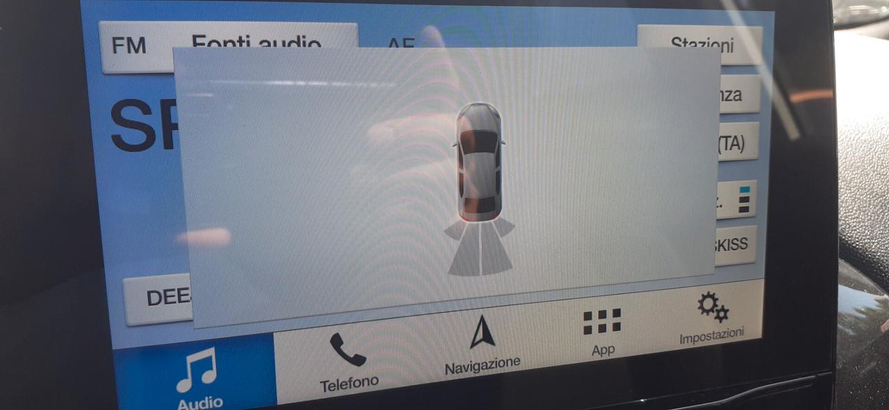 Ford Fiesta 2018 - 1.5 TDCi ST-Line Lb automobili