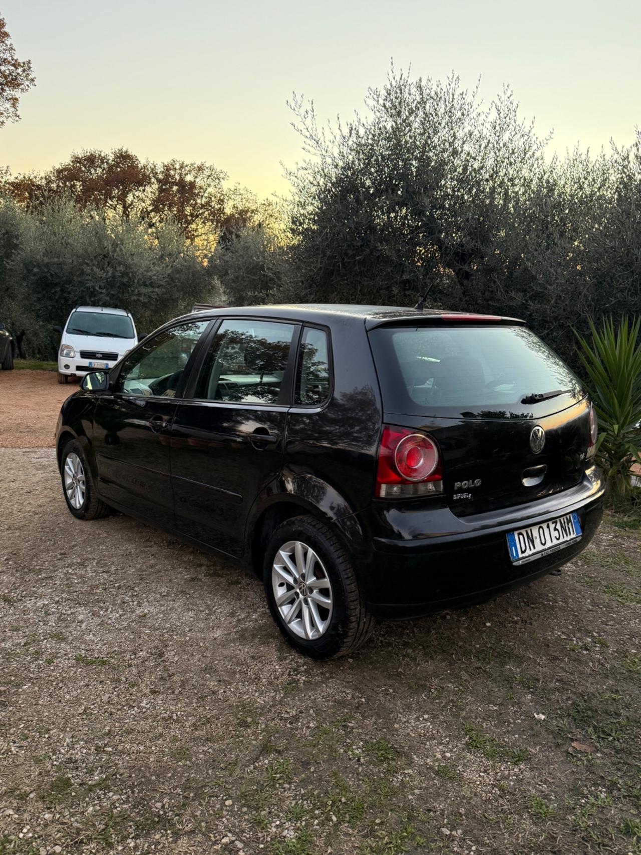 Volkswagen Polo 1.4/80CV 16V 5p. Comfort. BiFuel G