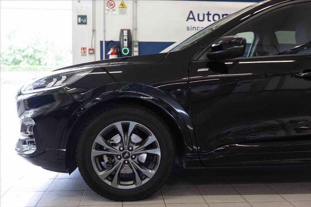 FORD Kuga 2.0 ecoblue ST-Line 2wd 120cv auto del 2023