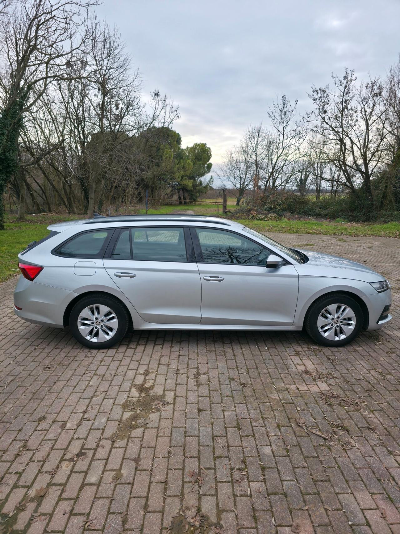 Skoda Octavia 2.0 TDI EVO DSG Wagon Executive 115CV