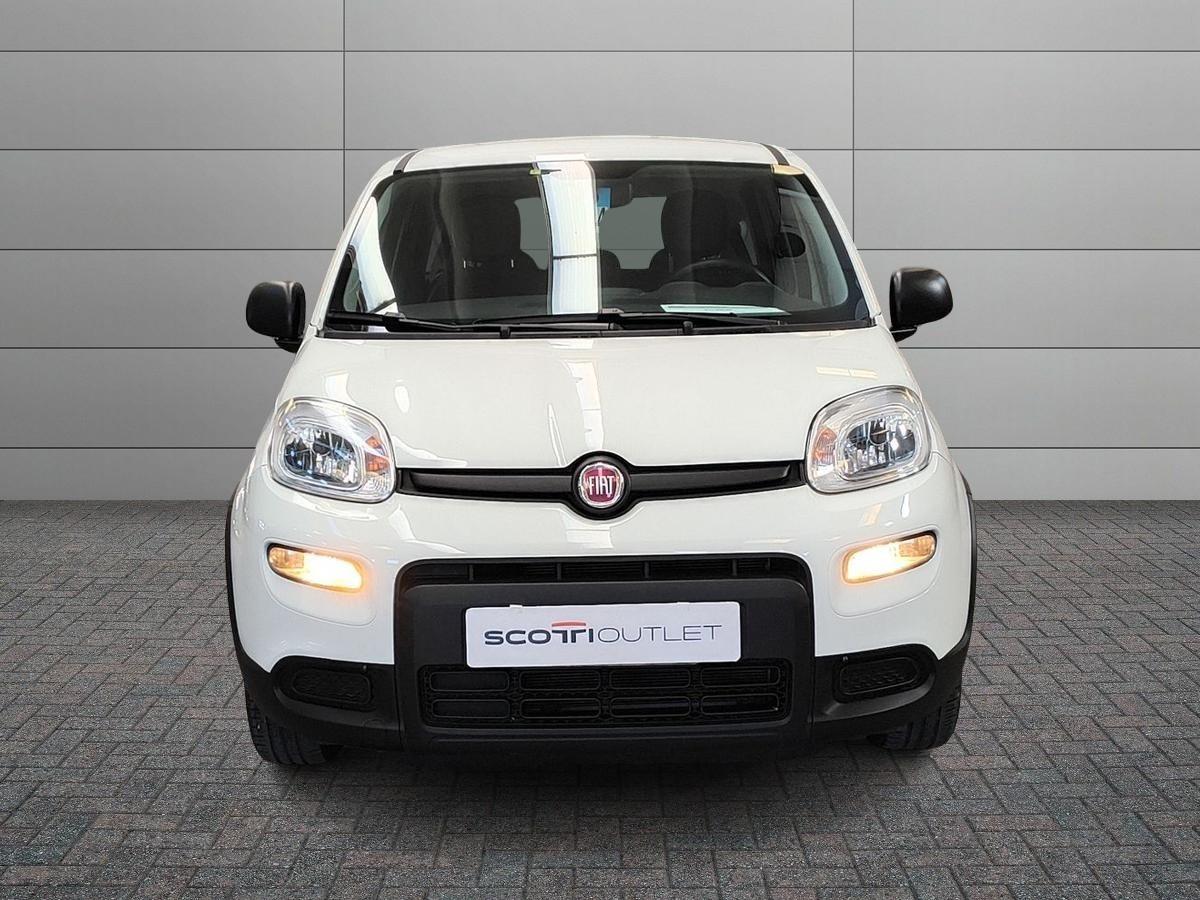 FIAT Panda III 2021 - Panda 1.0 firefly hybrid s&s 70cv 5p.ti