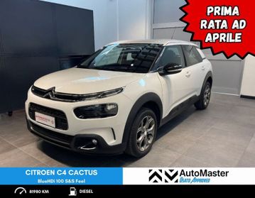 Citroën C4 Cactus BlueHDi 100 S&S Feel