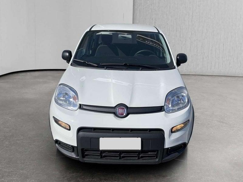 FIAT Panda 1.0 firefly hybrid s&s 70cv