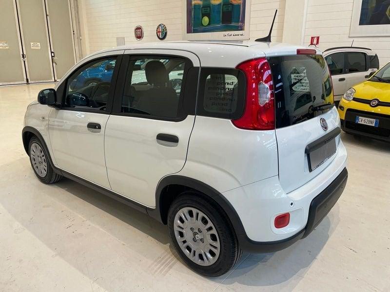 FIAT Panda 1.0 FireFly S&S Hybrid PRONTA CONSEGNA