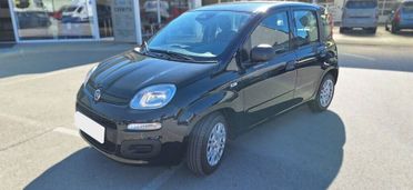 Fiat Panda FINANZIAMENTO ANCHE A TASSO ZERO
