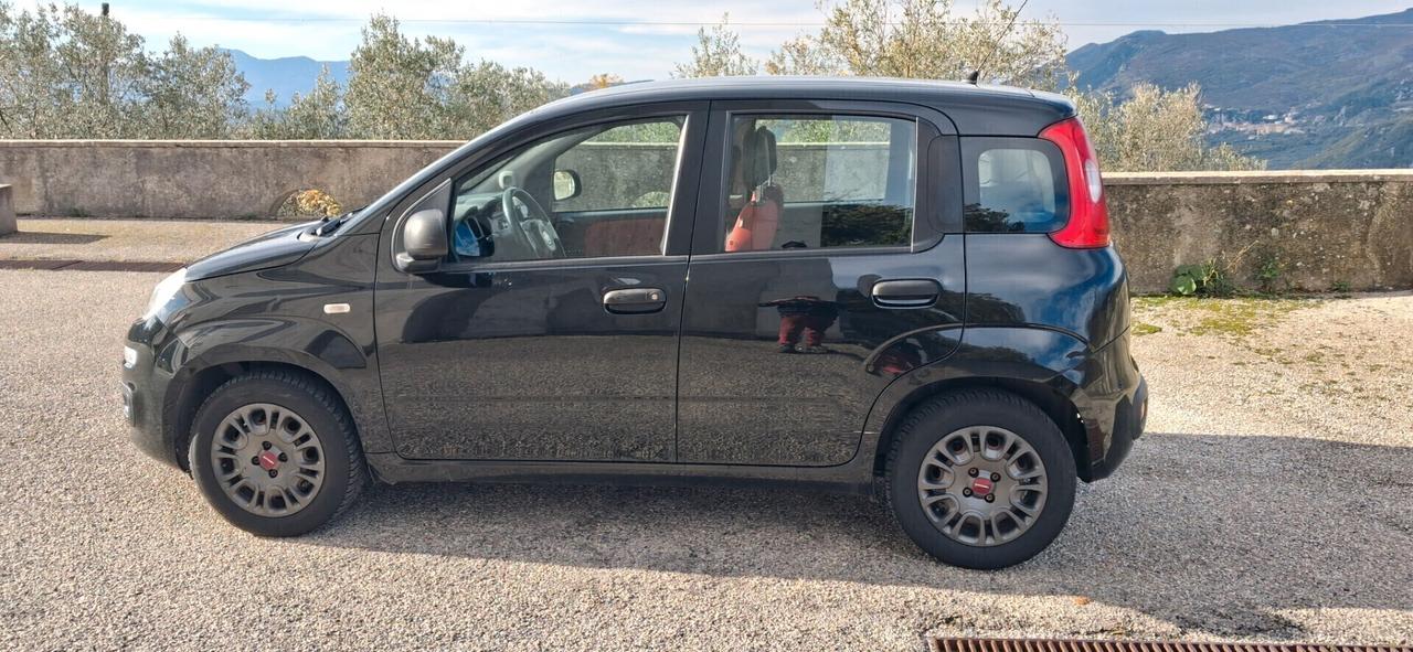 Fiat Panda 1.3 MJT S&S Easy Van 4 posti