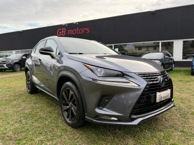 LEXUS NX 300 Hybrid 4WD Premium NAVI - LED - PELLE - TELEC - 18