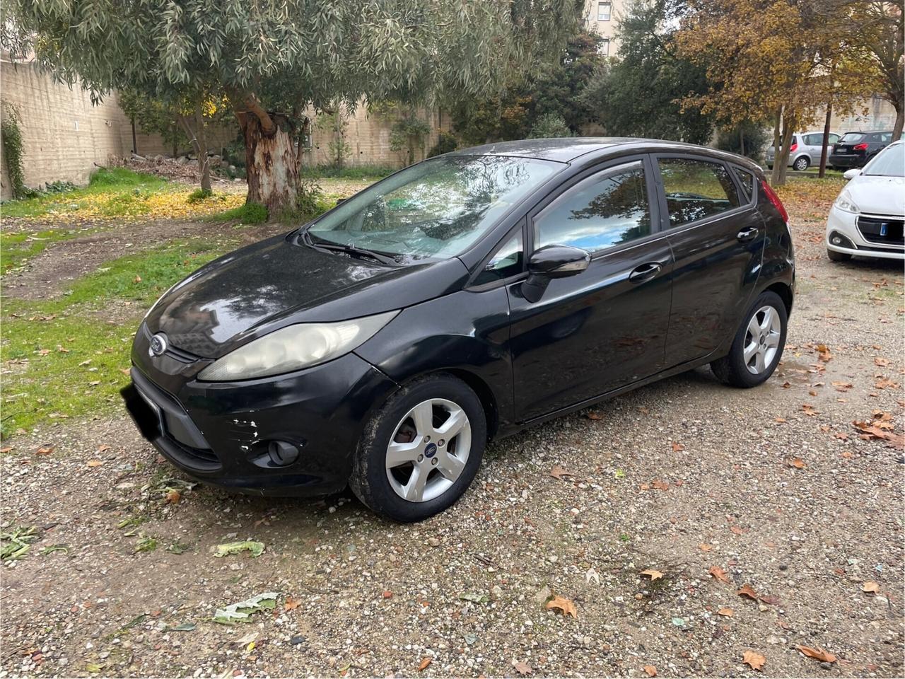 Ford Fiesta 1.4 TDCi 5p. Titanium