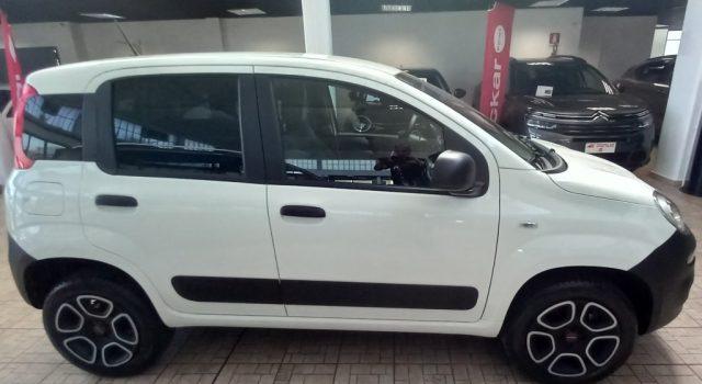 FIAT Panda 0.9 TwinAir Turbo S&S 4x4 Pop Van 2 posti